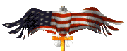 eagleflaglg.gif